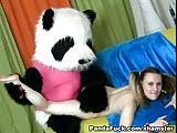 Panda rucha mloda cipke