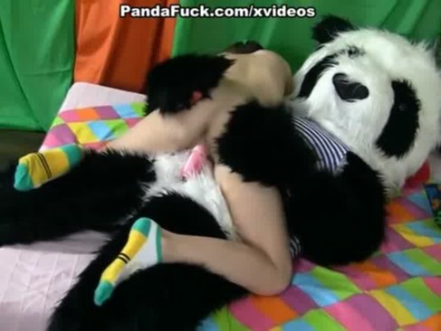 Panda znowu atakuje nastolatki